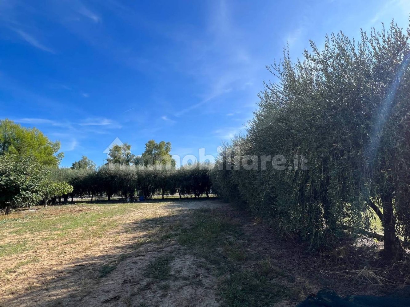 1300m² Land in Martinsicuro, Italy No. 343608