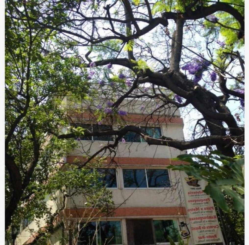 Gebäude in Mexicali, Mexico, Nr. 199943