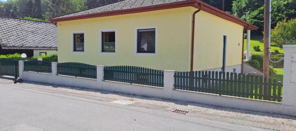 4 rooms Bungalow in Enzesfeld-Lindabrunn, Austria No. 221947 23