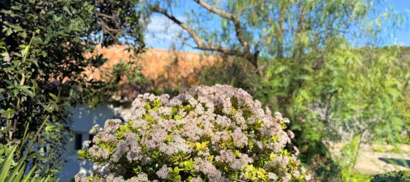 6 غرف نوم منزل في Casares, Spain رقم 150828 22