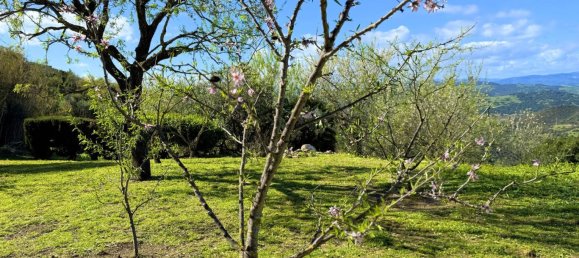 6 غرف نوم منزل في Casares, Spain رقم 150828 44