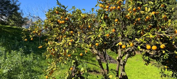 6 غرف نوم منزل في Casares, Spain رقم 150828 23