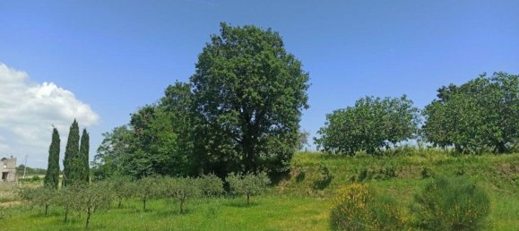 5-Zimmer Haus in Parrano, Italy, Nr. 223969 15