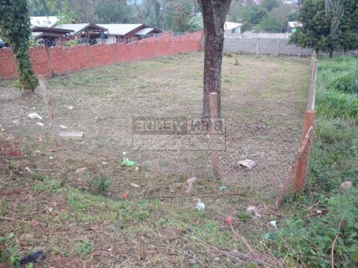  قطعة أرض في Misiones, Argentina رقم 40443