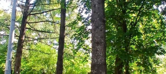 3 chambres Appartement à Reggio Emilia, Italy No. 354361 12