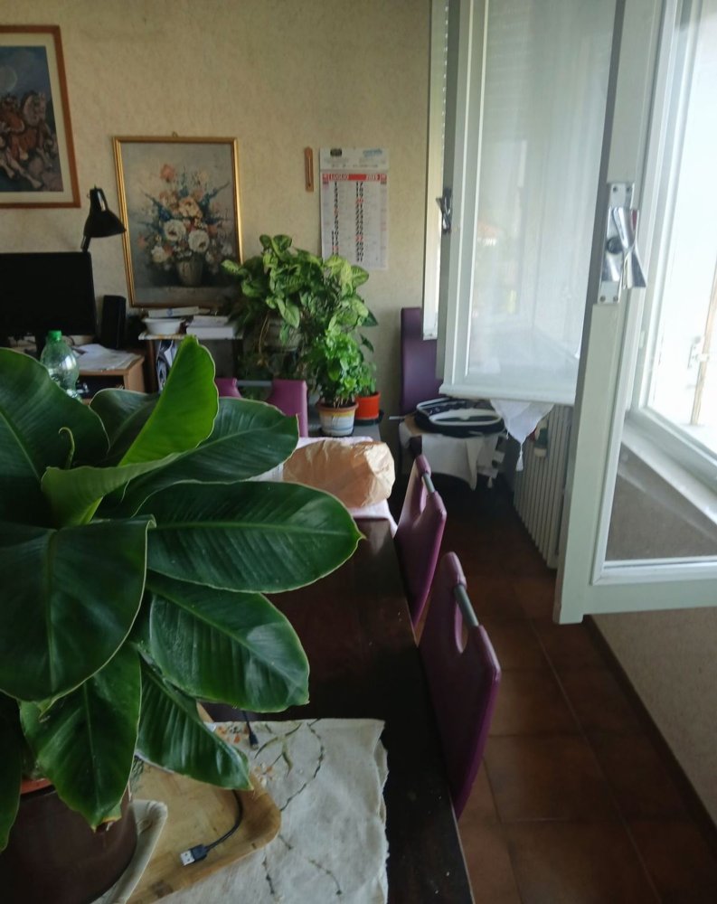 3 chambres Appartement à Reggio Emilia, Italy No. 354361