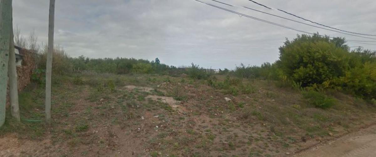 Terreno en Maldonado, Uruguay No. 14880