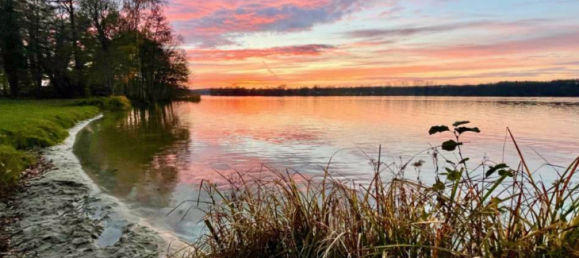 2غرفة شقة في Oder-Spree, Germany رقم 23699 14