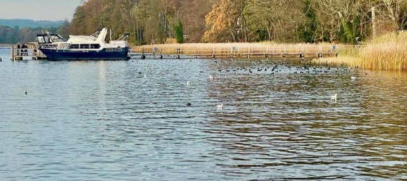 2غرفة شقة في Oder-Spree, Germany رقم 23699 13