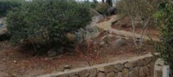 Villa de 4 dormitorios en Santa Teresa Gallura, Italy No. 318167 6