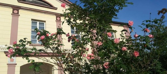 10 bedrooms House in Lippe, Germany No. 272013 10