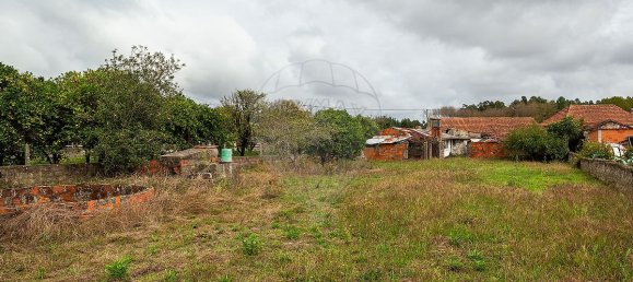 1 bedroom House in Cantanhede, Portugal No. 170127 5