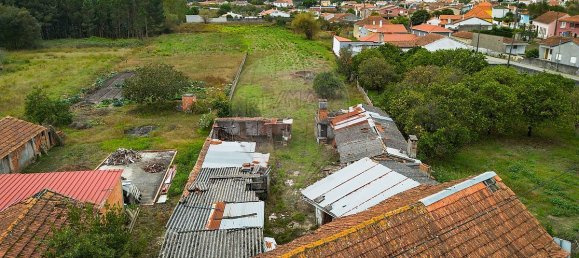 1 bedroom House in Cantanhede, Portugal No. 170127 27