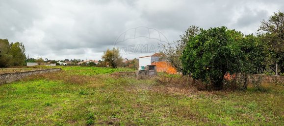 1 bedroom House in Cantanhede, Portugal No. 170127 2