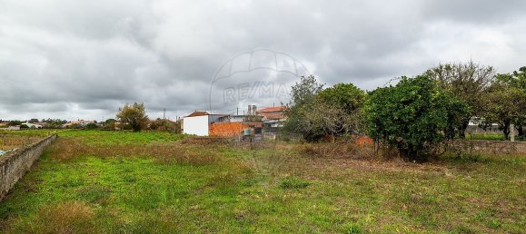 1 bedroom House in Cantanhede, Portugal No. 170127 32