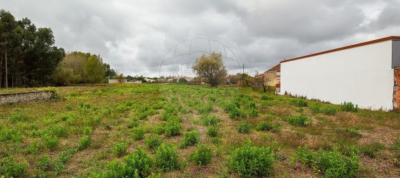 1 bedroom House in Cantanhede, Portugal No. 170127 4