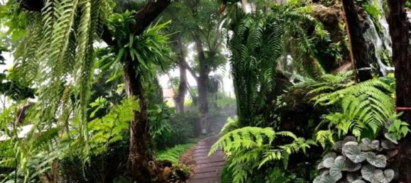 5 Schlafzimmer Villa in Chiang Mai, Thailand, Nr. 62653 9