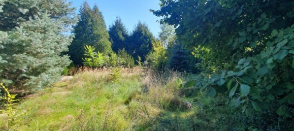 Таунхаус с 2 спальнями в Wittenberg, Германия № 287393 6