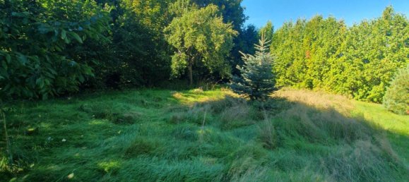 Таунхаус с 2 спальнями в Wittenberg, Германия № 287393 5