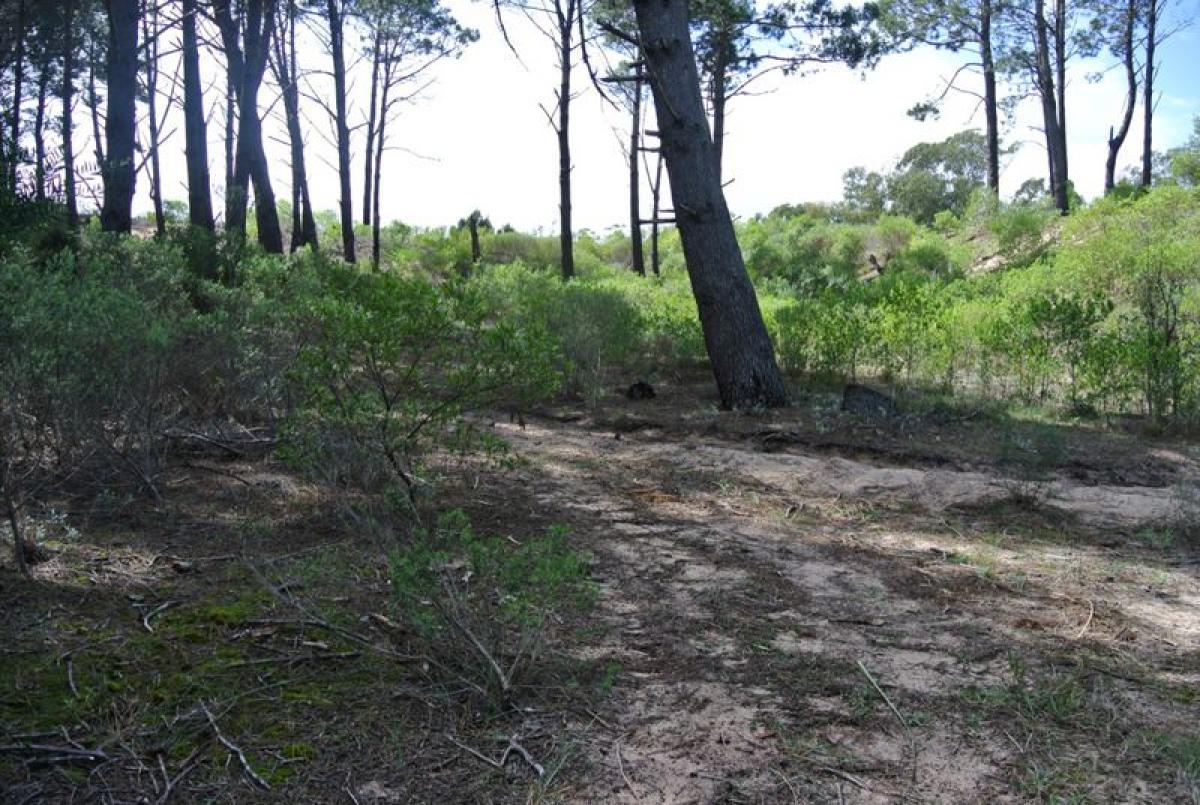 Grundstück in Maldonado, Uruguay, Nr. 14288