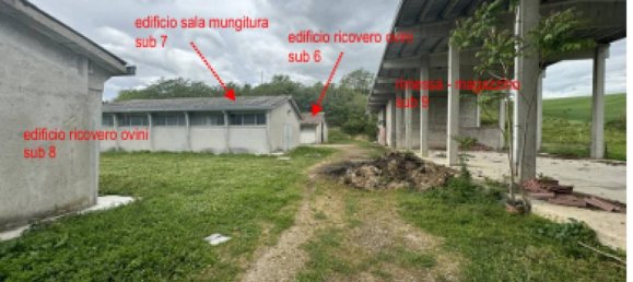5 rooms Warehouse in Sulmona, Italy No. 292584 4