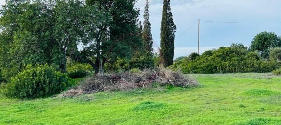 Земельный участок в Албуфейра, Португалия № 120856 7