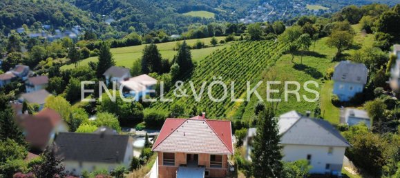 4 bedrooms House in Klosterneuburg, Austria No. 250103 2