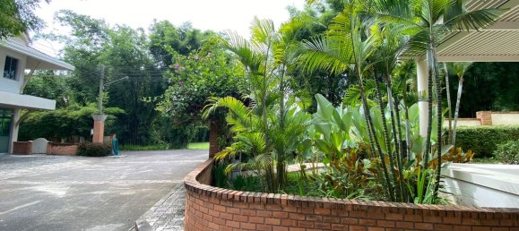 Café / restaurante T3 em Chiang Mai, Thailand N.º 9135 2