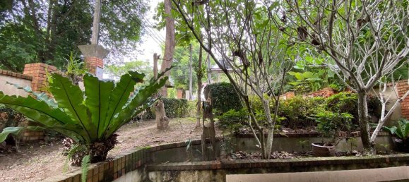 Café / restaurante T3 em Chiang Mai, Thailand N.º 9135 11