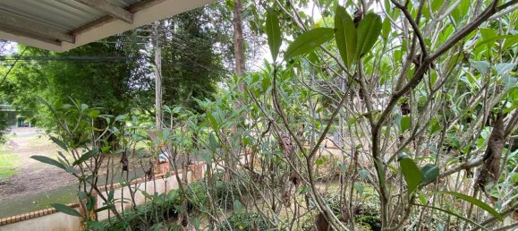 Café / restaurante T3 em Chiang Mai, Thailand N.º 9135 30