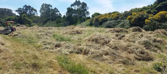 11640m² Land in Colares, Portugal No. 79885 2