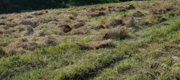 11640m² Land in Colares, Portugal No. 79885 6