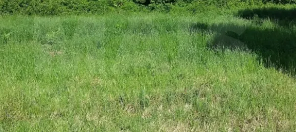 11640m² Land in Colares, Portugal No. 79885 10