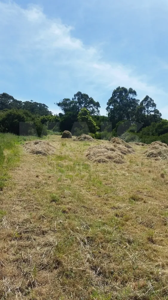 11640m² Land in Colares, Portugal No. 79885