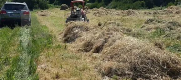 11640m² Land in Colares, Portugal No. 79885 9