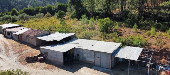 4 Schlafzimmer Haus in Figueiro dos Vinhos, Portugal, Nr. 174745 41