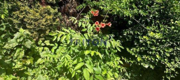 4 rooms House in Donnerskirchen, Austria No. 177721 17