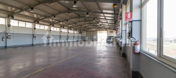 5 rooms Warehouse in Monserrato, Italy No. 336148 4