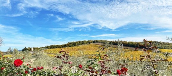 6 bedrooms Villa in Barberino Tavarnelle, Italy No. 192535 37