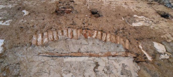 5 rooms Commercial property in Acireale, Italy No. 269525 47