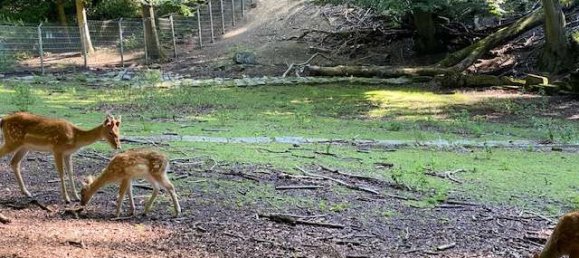 Villa T2 em Mulheim an der Ruhr, Germany N.º 21883 9