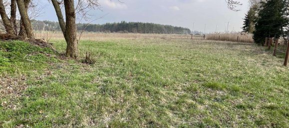 7 rooms Farm in Elbe-Elster, Germany No. 325700 12