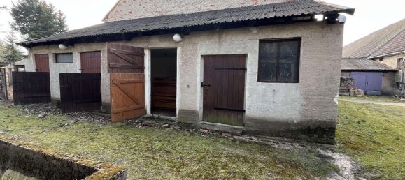 7 rooms Farm in Elbe-Elster, Germany No. 325700 10