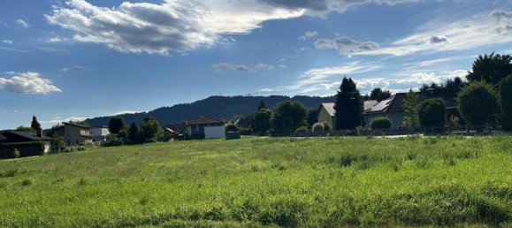  Land in Leibnitz, Austria No. 239580 3