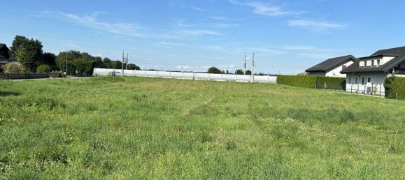  Land in Leibnitz, Austria No. 239580 6