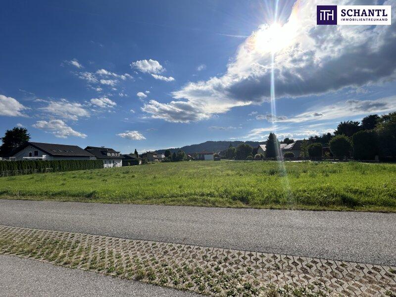 Land in Leibnitz, Austria No. 239580