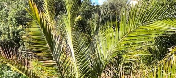 2000m² Land in Almancil, Portugal No. 136007 19