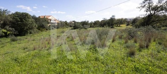 2000m² Land in Almancil, Portugal No. 136007 12