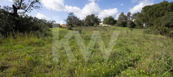 2000m² Land in Almancil, Portugal No. 136007 18