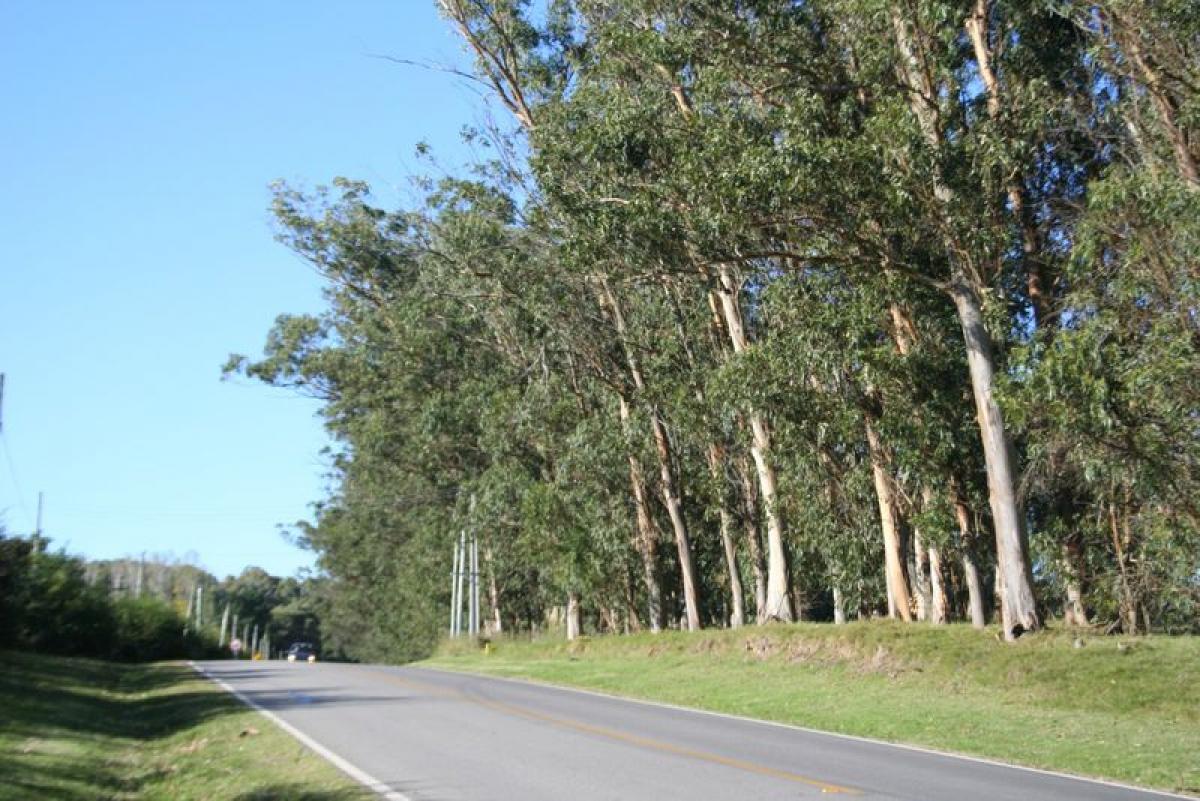  Land in Maldonado, Uruguay No. 13941